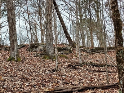 17.22 Acres For Sale in Morristown, TN - image 9
