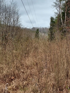 17.22 Acres For Sale in Morristown, TN - image 25