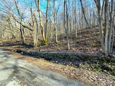 17.22 Acres For Sale in Morristown, TN - image 32