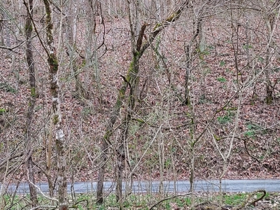 17.22 Acres For Sale in Morristown, TN - image 28