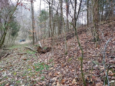 17.22 Acres For Sale in Morristown, TN - image 2