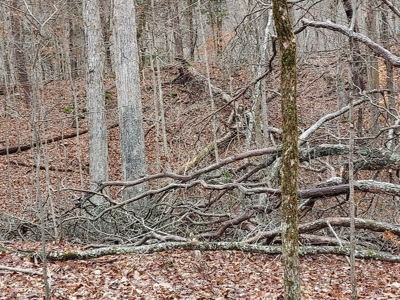 17.22 Acres For Sale in Morristown, TN - image 14