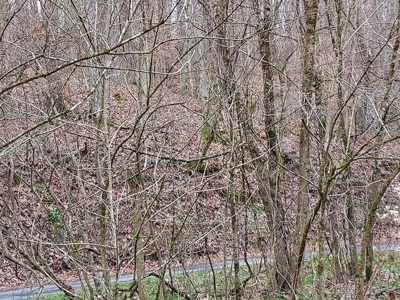 17.22 Acres For Sale in Morristown, TN - image 29