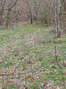 17.22 Acres For Sale in Morristown, TN - image 27