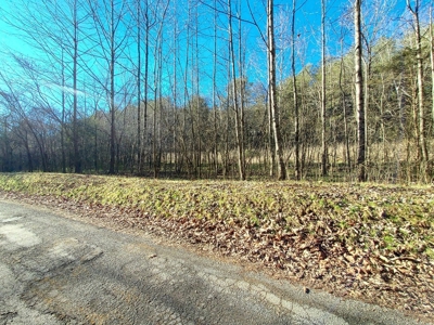 17.22 Acres For Sale in Morristown, TN - image 34