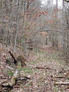 17.22 Acres For Sale in Morristown, TN - image 22