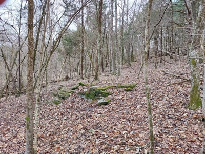 17.22 Acres For Sale in Morristown, TN - image 6