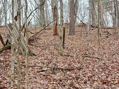 17.22 Acres For Sale in Morristown, TN - image 18