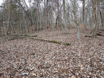 17.22 Acres For Sale in Morristown, TN - image 4