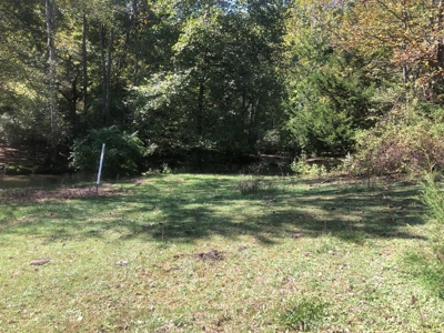 Waterfront Building Site in Bristol VA - image 8