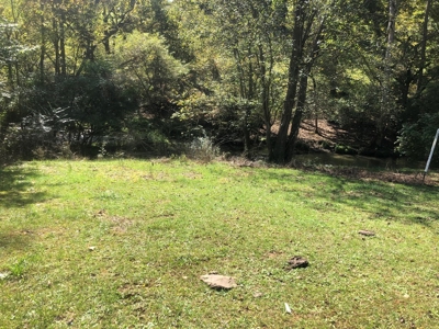 Waterfront Building Site in Bristol VA - image 2