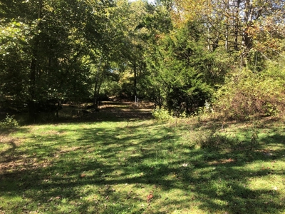 Waterfront Building Site in Bristol VA - image 5