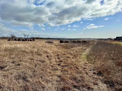 Final Phase of Cotton Ridge Estates Addition, Vacant Land - image 2