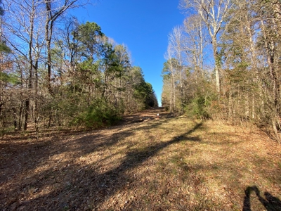Commercial Building Kilgore Texas with 50 Acres - image 22