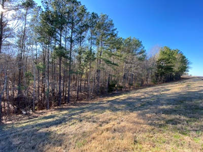 Commercial Building Kilgore Texas with 50 Acres - image 24