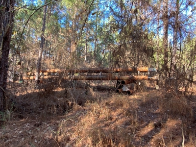 Commercial Building Kilgore Texas with 50 Acres - image 27