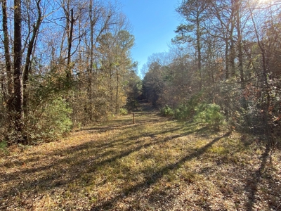 Commercial Building Kilgore Texas with 50 Acres - image 23