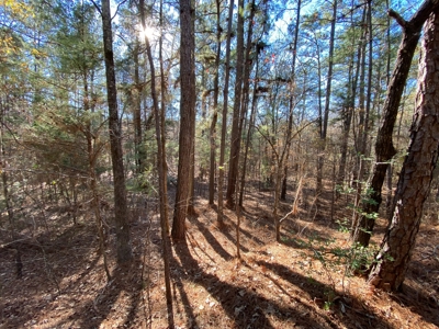Commercial Building Kilgore Texas with 50 Acres - image 37