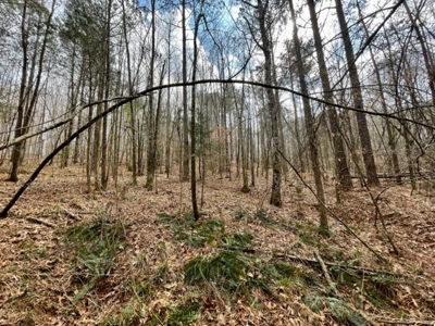 Roberts Branch 246 - image 42