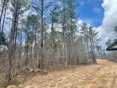 Roberts Branch 246 - image 25