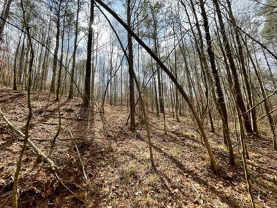Roberts Branch 246 - image 44