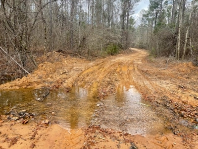 Roberts Branch 246 - image 17