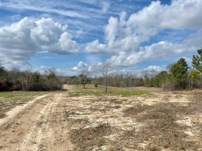 Roberts Branch 246 - image 21