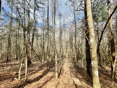 Roberts Branch 246 - image 36