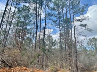 Roberts Branch 246 - image 20