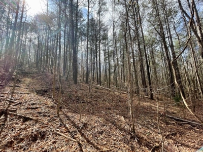 Roberts Branch 246 - image 37
