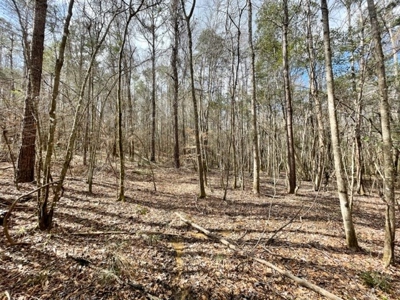 Roberts Branch 246 - image 32
