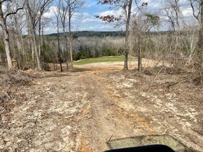 Roberts Branch 246 - image 24