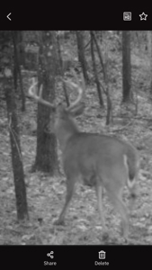Roberts Branch 246 - image 2
