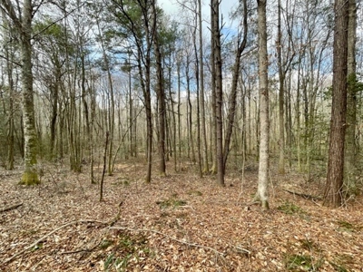 Roberts Branch 246 - image 40