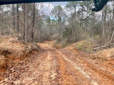 Roberts Branch 246 - image 18