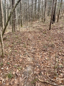 Roberts Branch 246 - image 46