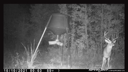 Roberts Branch 246 - image 8
