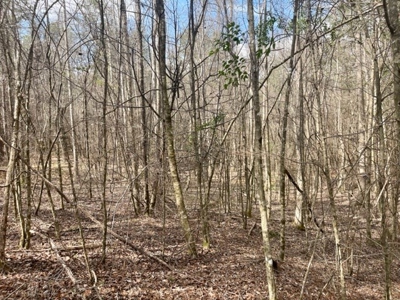 Roberts Branch 246 - image 33