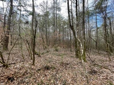 Roberts Branch 246 - image 47