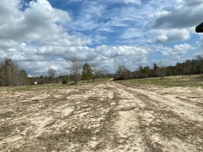 Roberts Branch 246 - image 22