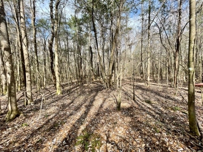 Roberts Branch 246 - image 38