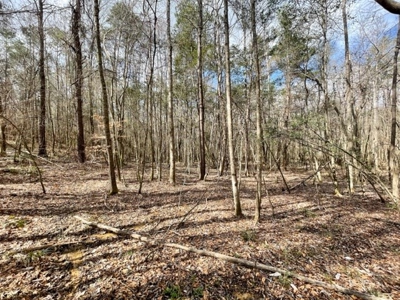 Roberts Branch 246 - image 31