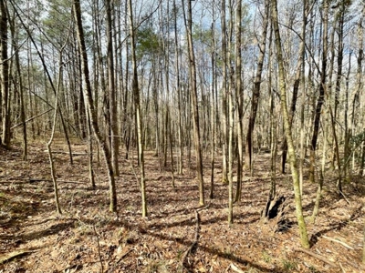 Roberts Branch 246 - image 35