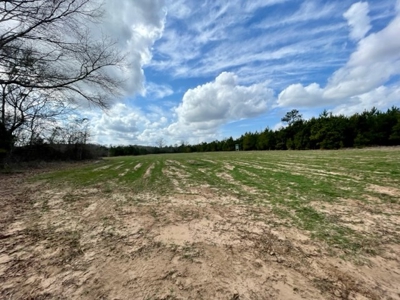 Roberts Branch 246 - image 30