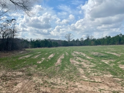 Roberts Branch 246 - image 28