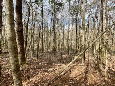 Roberts Branch 246 - image 43