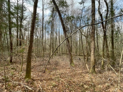Roberts Branch 246 - image 41