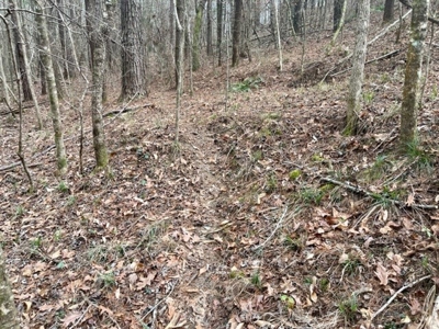Roberts Branch 246 - image 45