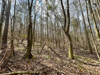 Roberts Branch 246 - image 39