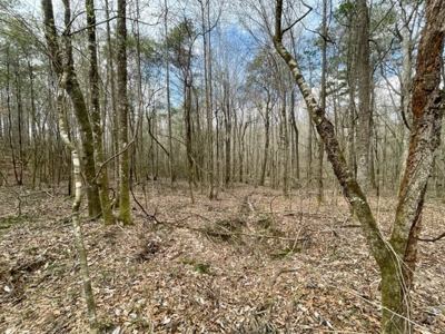 Roberts Branch 246 - image 48